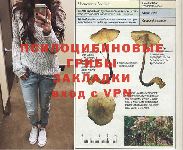 COCAINE Богданович