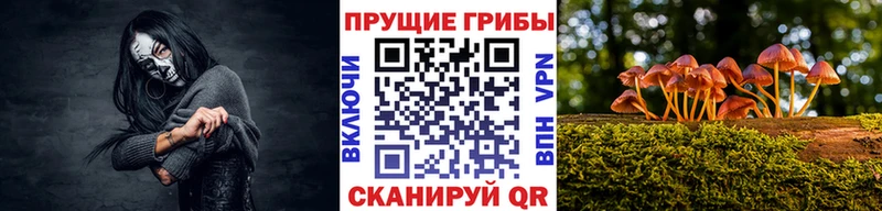 blacksprut вход  Холм  Галлюциногенные грибы прущие грибы 