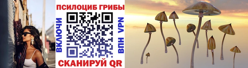Галлюциногенные грибы Magic Shrooms Холм